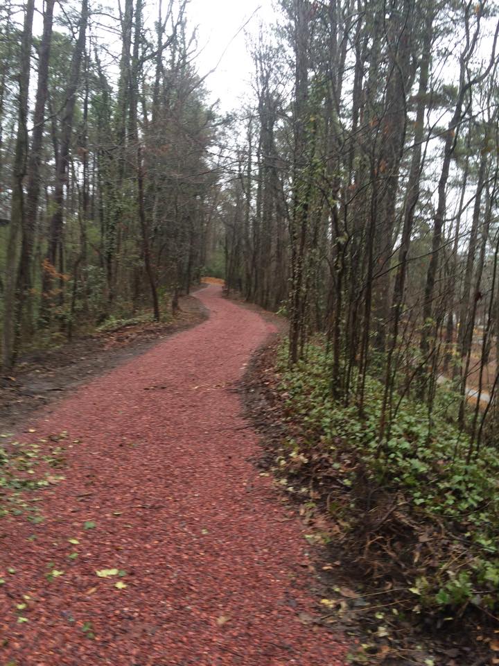 Nature Trail in Alabama